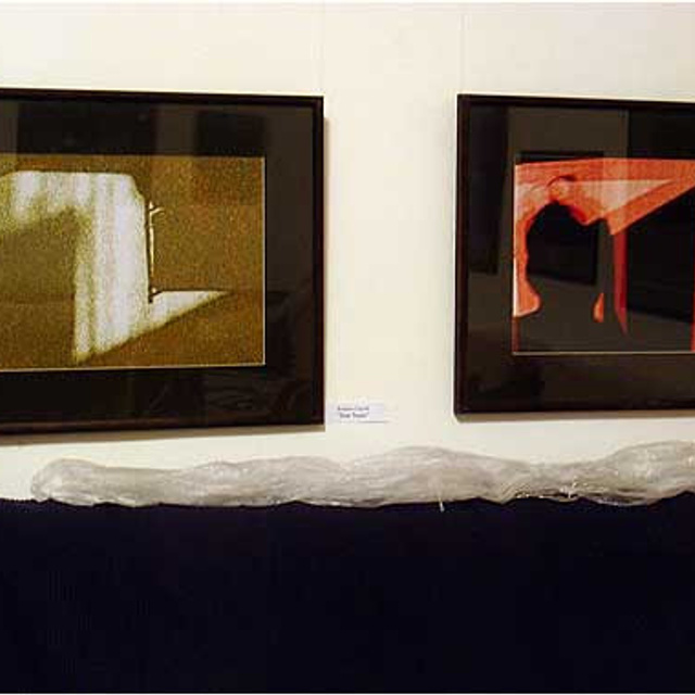 СВЕТОВИДЕНИЕ '09 - Люминография - luminografia.ru