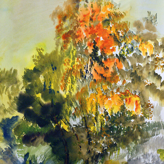 СВЕТЛАЯ СТОРОНА ЗЕМЛИ