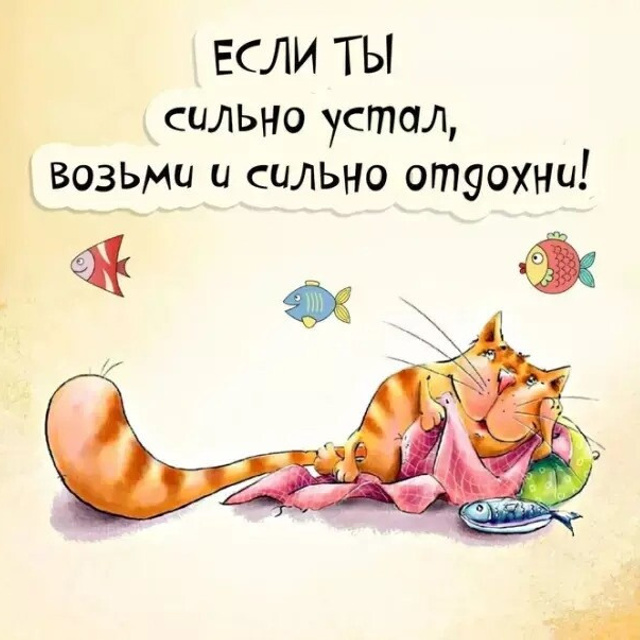 Отзывы. Eewa.ru