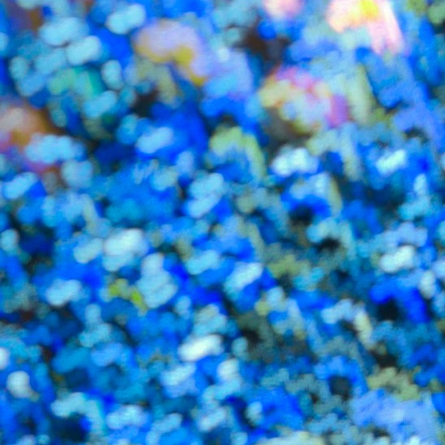 MY BLUE. Ширяева Ольга