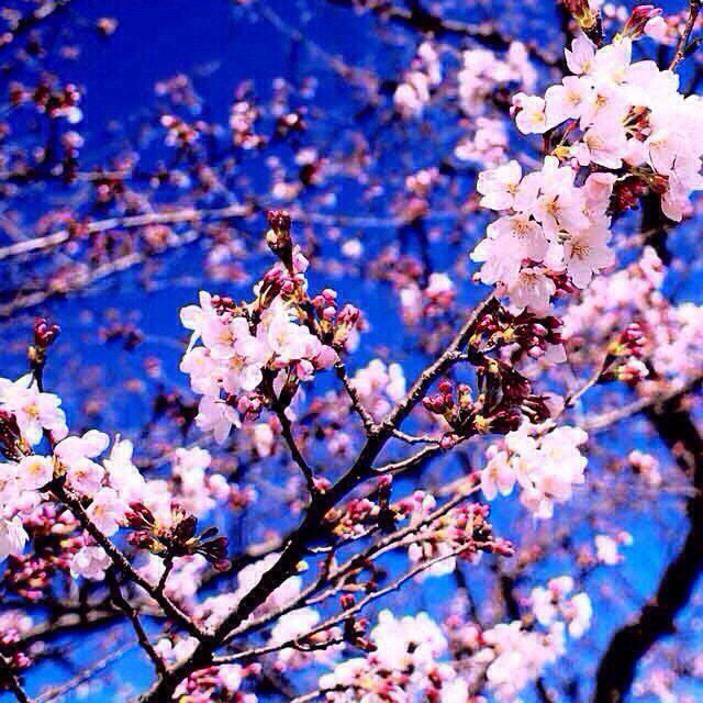 Ваши отзывы