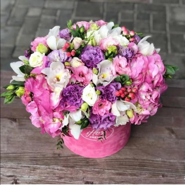 Отзывы. Елена Кухарева фотограф г. Тамбов