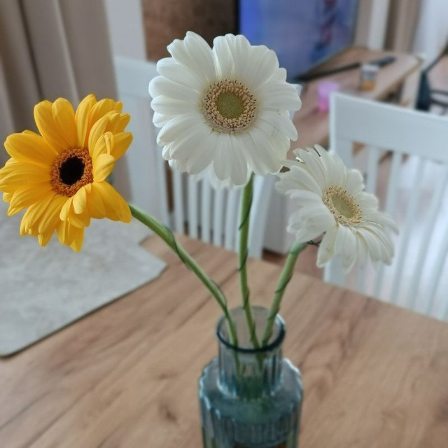 Отзывы о работе Елены Поляковой, коуча ACSTH PCC ICF. Елена Полякова — Профессиональный коуч ACTP ICF, наставник, ментор