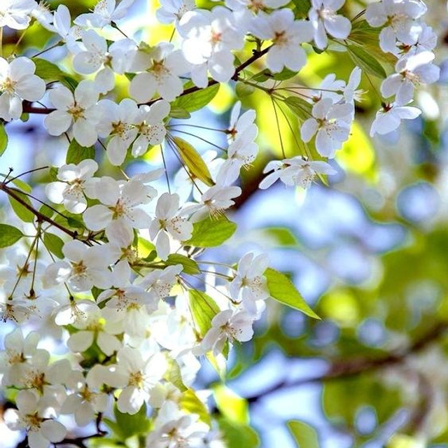 Отзывы. LEGOTKINA. Фотограф в Ростове-на-Дону Леготкина Алёна