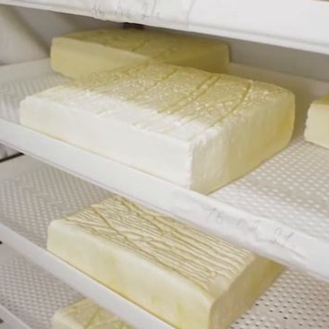 Обучение. Видеограф Добромыслов