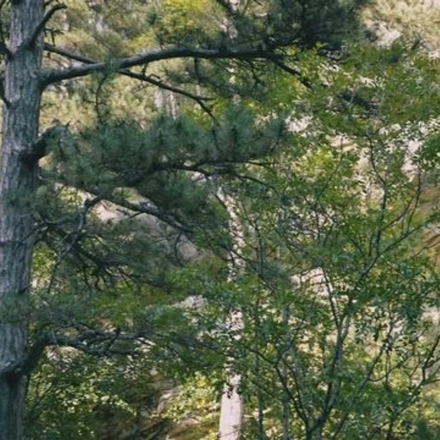 Для малого бизнеса. Видеограф Добромыслов