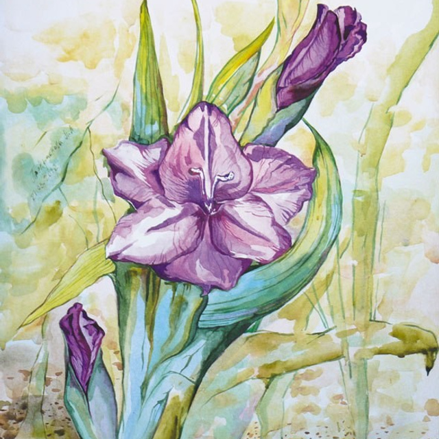 Гладиолус. Цветы. Акварель. Прекраснова. Prekrasnova