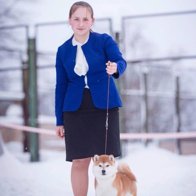 2019. SHIOMARU Shiba and Akita Inu Kennel