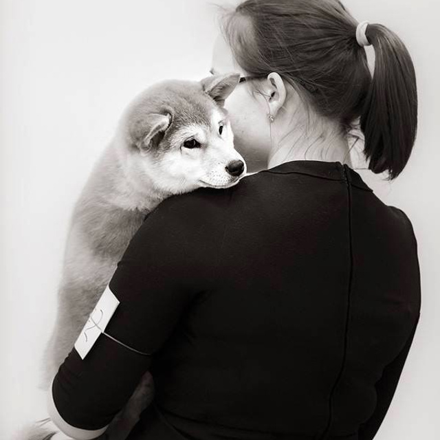 Выпускники питомника. SHIOMARU Питомник сиба и акита-ину