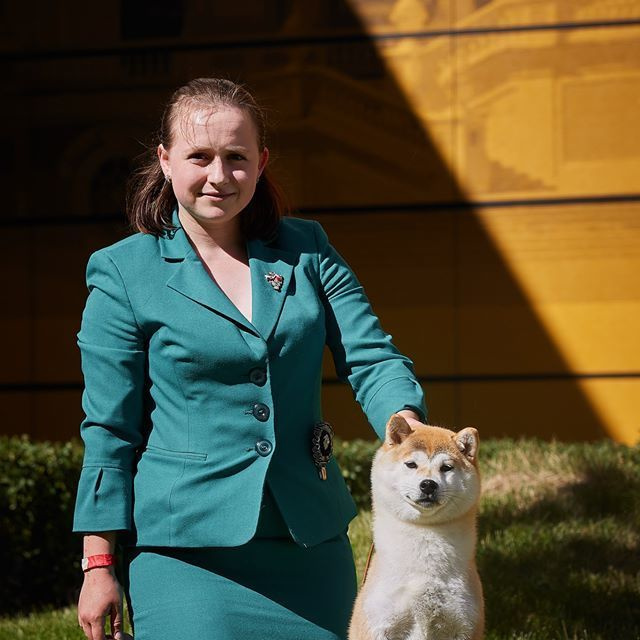 2019. SHIOMARU Shiba and Akita Inu Kennel