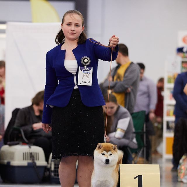 2019. SHIOMARU Shiba and Akita Inu Kennel