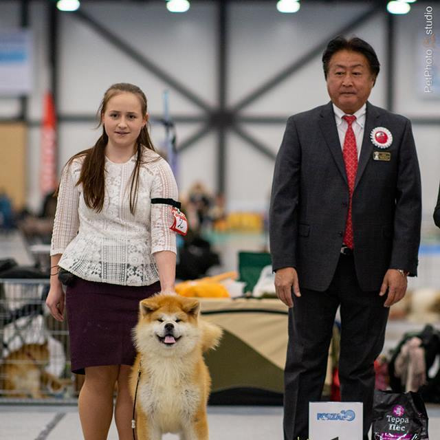 2019. SHIOMARU Shiba and Akita Inu Kennel