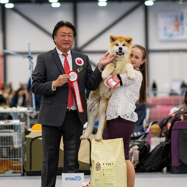 2019. SHIOMARU Shiba and Akita Inu Kennel