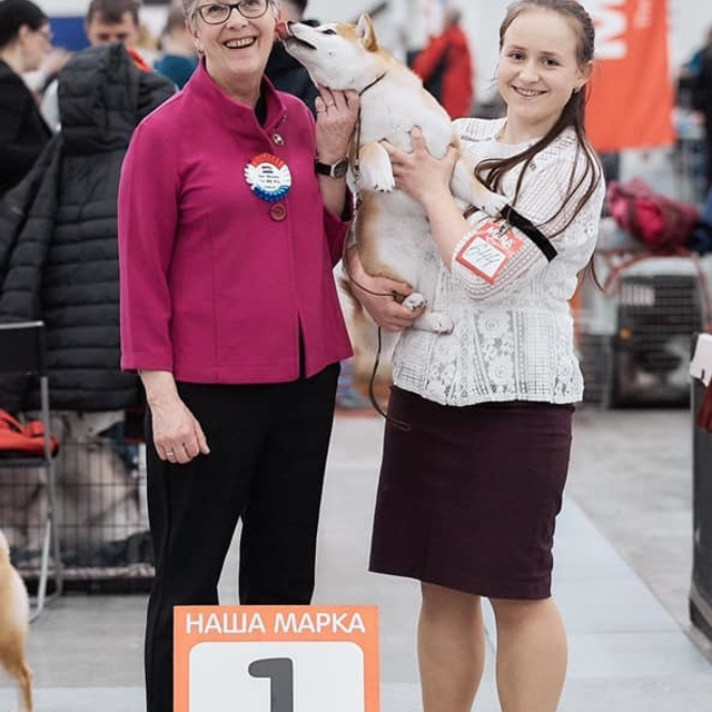 2019. SHIOMARU Shiba and Akita Inu Kennel