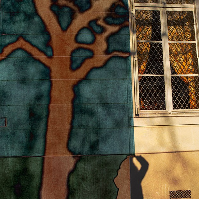 PORTFOLIO. Visual artist and photographer Alexandra Muravyeva