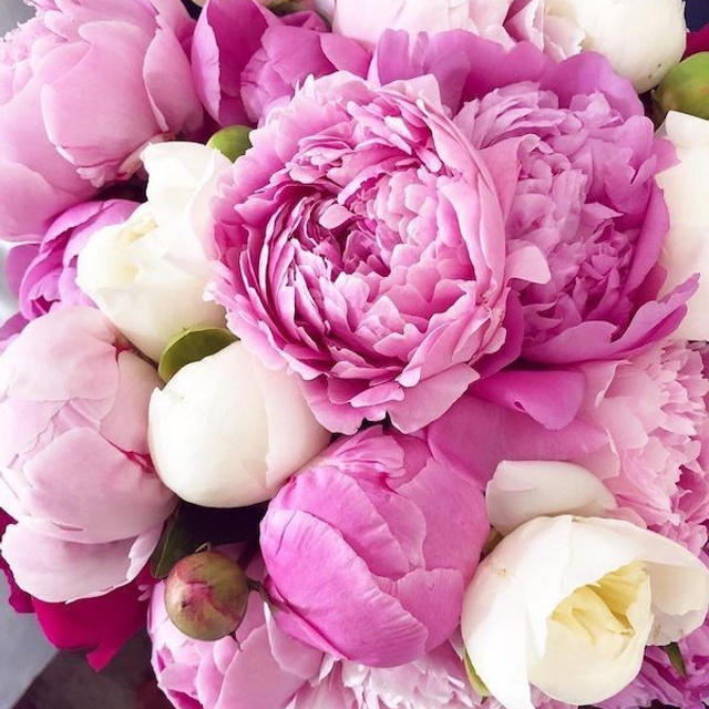 Отзывы. Студия выпускных альбомов Ольги Тушковой в городе Каменск-Уральский, Екатеринбург