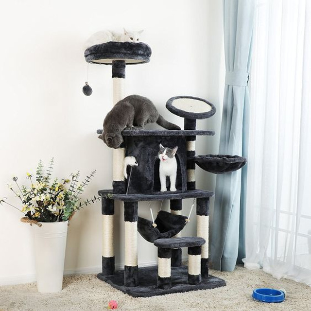 Предметное фото товаров для животных - забота о комфорте и благополучии вашего питомца в каждой детали.