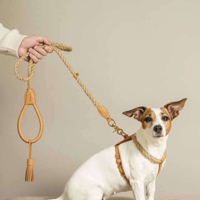 Предметное фото товаров для животных - товары, которые делают жизнь с вашим питомцем более удобной и приятной.