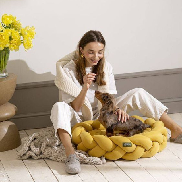 Предметное фото товаров для животных - товары, которые помогают создать комфортное и уютное пространство для вашего питомца.