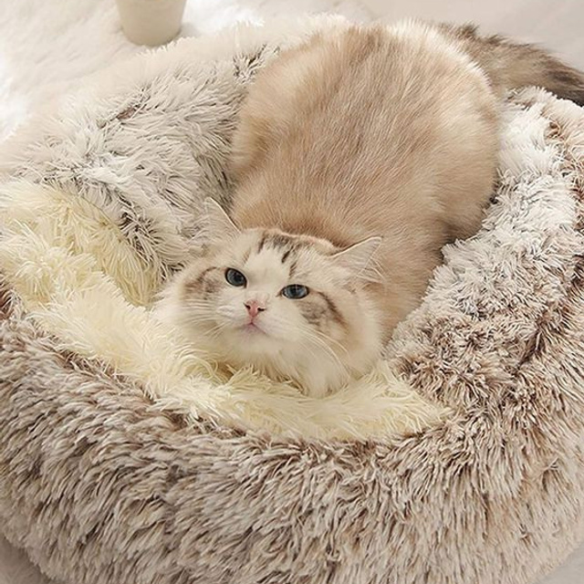 Предметное фото товаров для животных - забота и радость вашему питомцу в каждом приобретении.