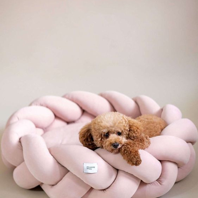 Предметное фото товаров для животных - товары, которые делают жизнь вашего питомца более здоровой и активной.