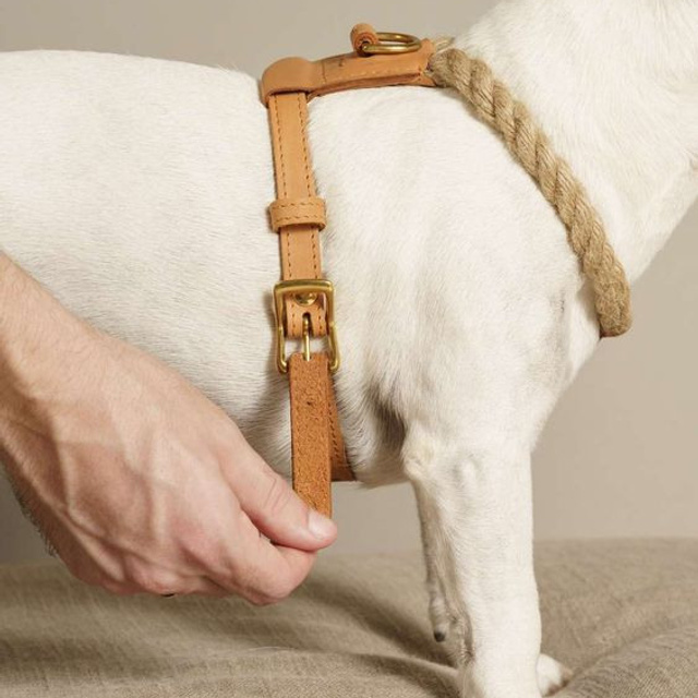 Предметное фото товаров для животных - забота о вашем питомце в каждом товаре.