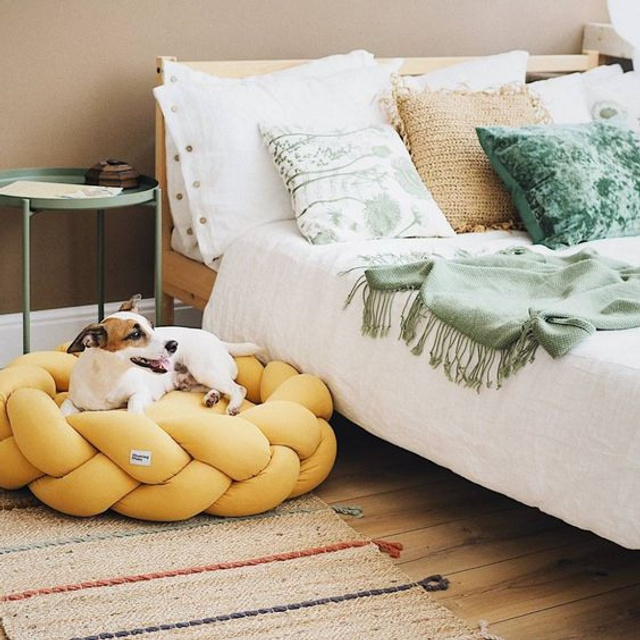 Предметное фото товаров для животных - забота и внимание к вашему питомцу в каждой покупке.