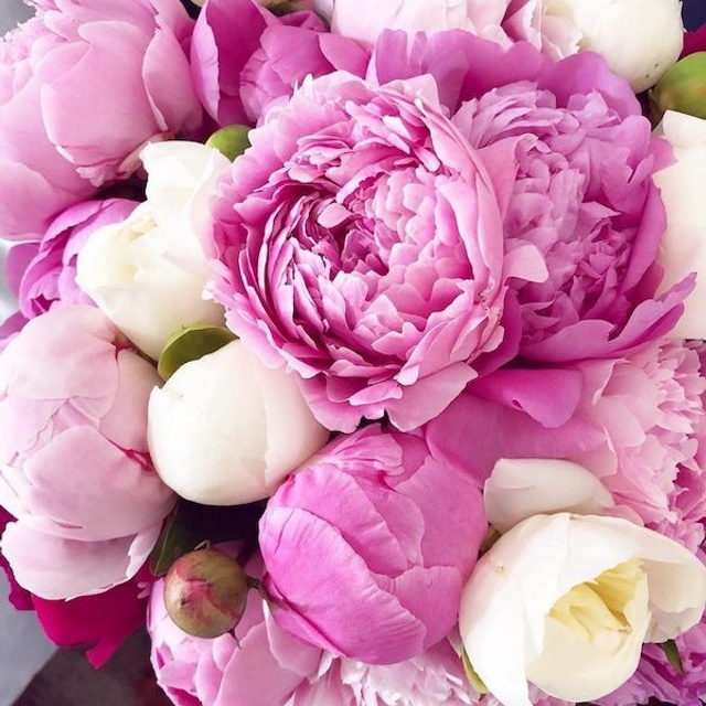 Отзывы. Студия выпускных альбомов Ольги Тушковой в городе Каменск-Уральский, Екатеринбург