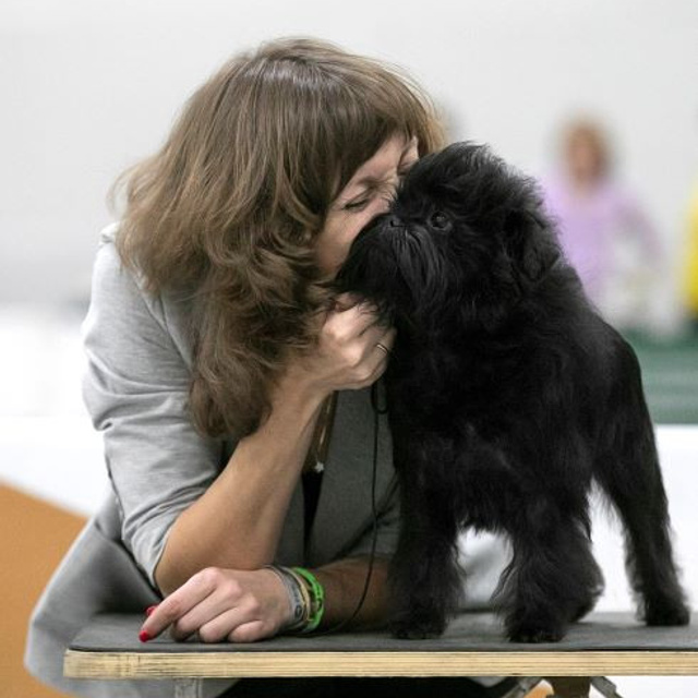 Отзывы. Центр развития кинологии Звезда Невы