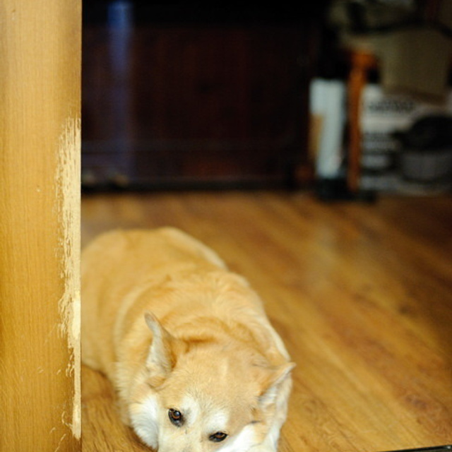 Стас и Елена. Свадебный фотограф Москва Альберт Хаиров