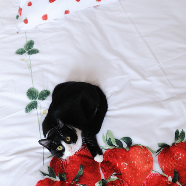 Андрей и Ольга. Свадебный фотограф Москва Альберт Хаиров