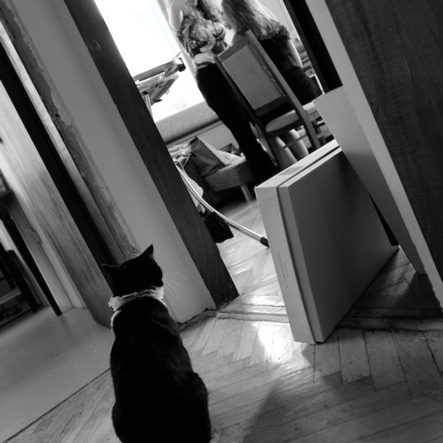 Андрей и Ольга. Свадебный фотограф Москва Альберт Хаиров