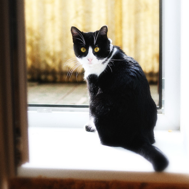 Андрей и Ольга. Свадебный фотограф Москва Альберт Хаиров