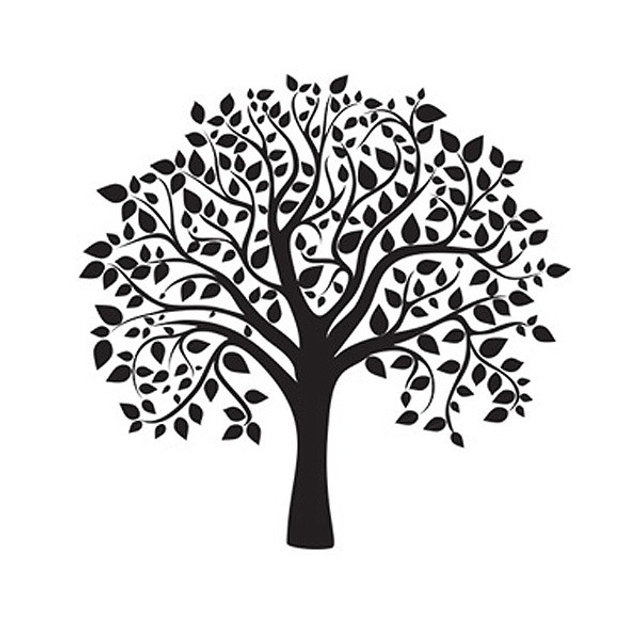 Искусственная кожа. Павел Будаев фотограф pro Улан-Удэ_Агинское_Иркутск