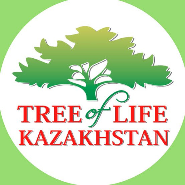 Отзывы. Таргетолог Кирилл Мольков, таргетирую по всему миру