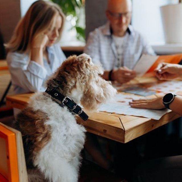 Отзывы. Свадебный и семейный фотограф в Туле и области Маша Костина