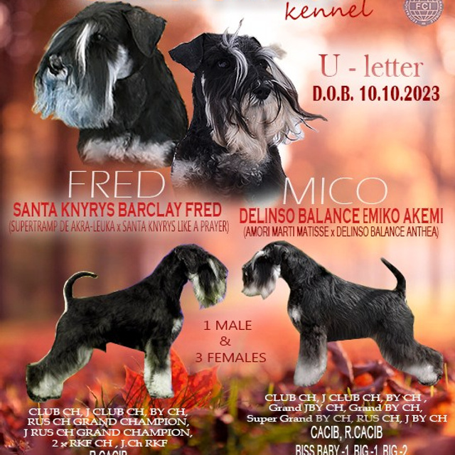 Litter «U» 10.10.2023