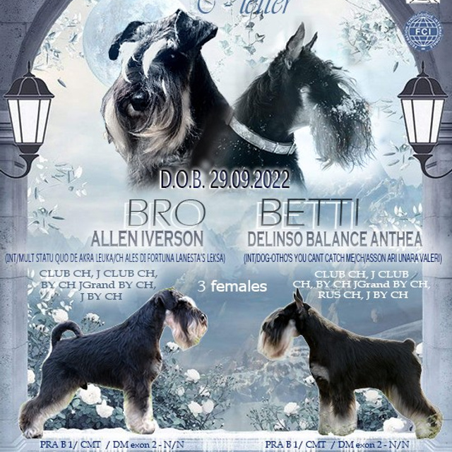 Делинсо Бэлэнс «С» помет