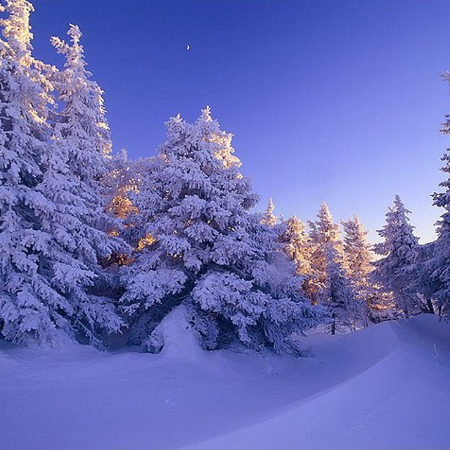 Отзывы. Детская выездная фотостудия