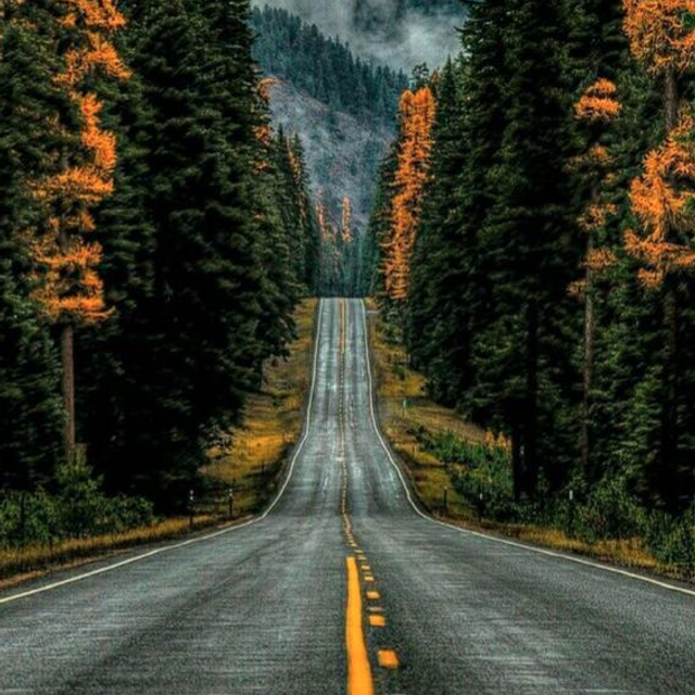 Отзывы. Детская выездная фотостудия