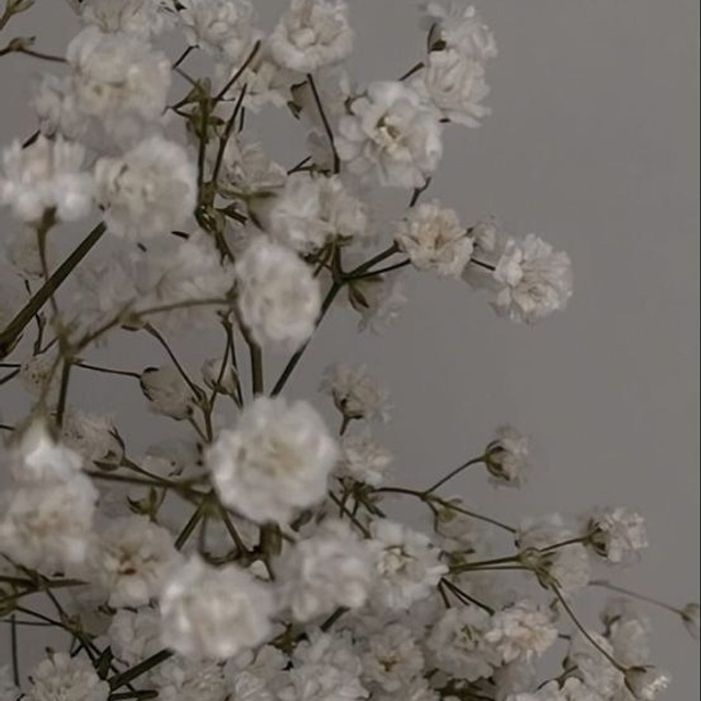 Отзывы. MEMENTO.Выпускные альбомы, школьные, юбилейные и другие книги. Ростов-на-Дону