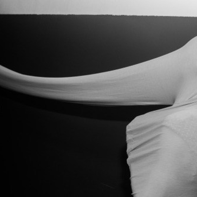 Collective costumes. Elena Slobtseva is a visual multidisciplinary artist