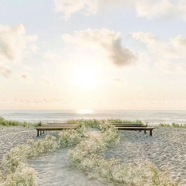 ДЕКОР, ЦВЕТА И КОНЦЕПЦИЯ 2023 года. Свадебный и репортажный фотограф Элина Козырьянова