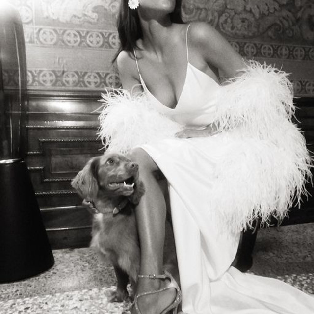 ДЕКОР, ЦВЕТА И КОНЦЕПЦИЯ 2023 года. Свадебный и репортажный фотограф Элина Козырьянова