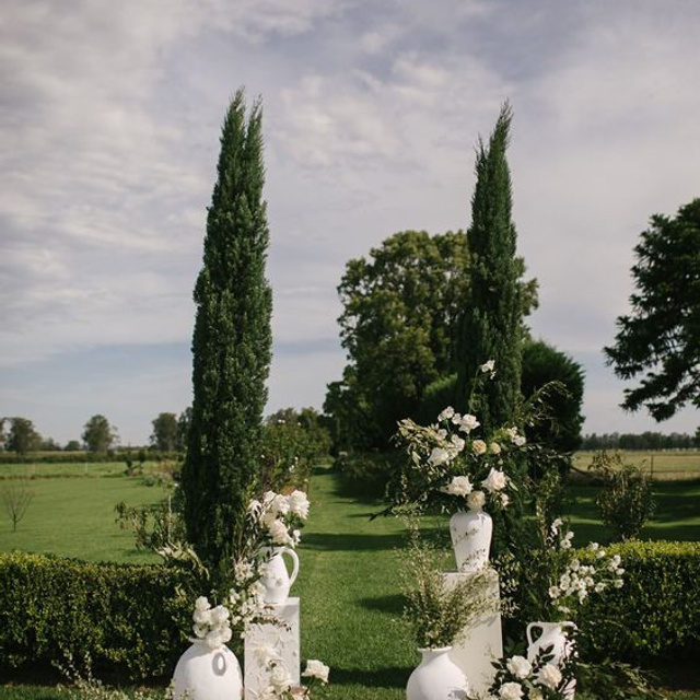 ДЕКОР, ЦВЕТА И КОНЦЕПЦИЯ 2023 года. Свадебный и репортажный фотограф Элина Козырьянова