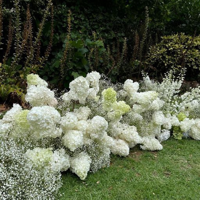 ДЕКОР, ЦВЕТА И КОНЦЕПЦИЯ 2023 года. Свадебный и репортажный фотограф Элина Козырьянова