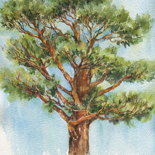 Акварель Сони Корсаковой. Живопись Сони Корсаковой