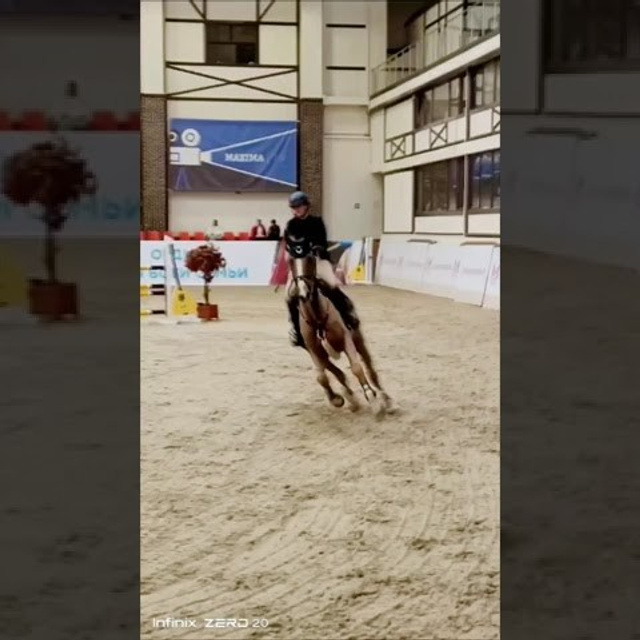 Видеоролики/рилсы