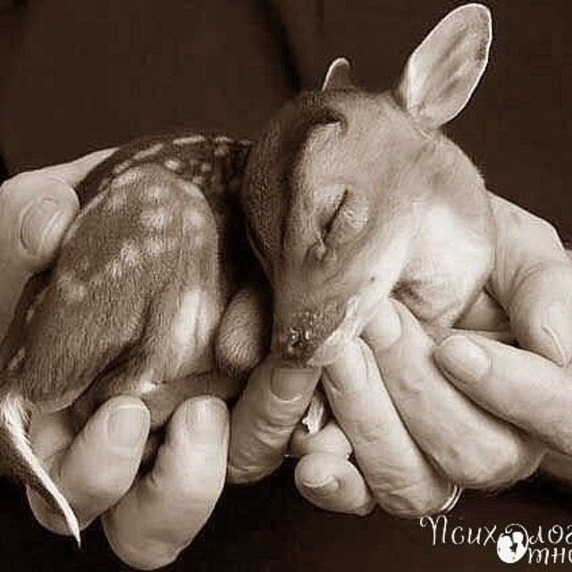 Отзывы. Профессиональный фотограф Осипенко Илья. Съёмка выпускных альбомов, свадебная съёмка, семейная фотосъёмка. работаю по всей Брянской области