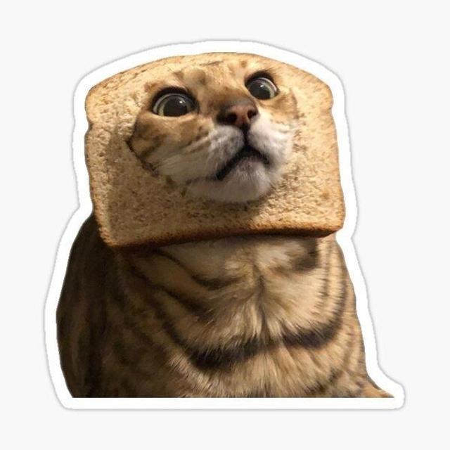 Дополнительный пакет внутренней документации ОПД. Фотограф Наталия Федосова, г. Москва. TG и Instagram @nataliya_raw